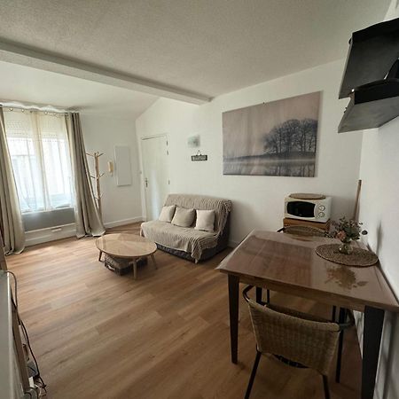 T2 *Hypercentre* Bord De Garonne Apartment Toulouse Luaran gambar